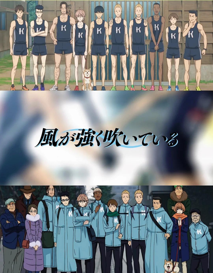 bob半岛体育官方网站-跑个步而已,他们在燃什么?|箱根|接力|奥运会|马拉松|箱根驿传_新浪体育_新浪新闻